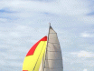 Veleiro Bate Vento BV 43 ano 2008